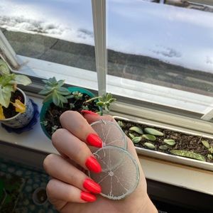 Resign lime slice earrings